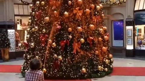 Climate activists in Germany have painted an orange Christmas tree.