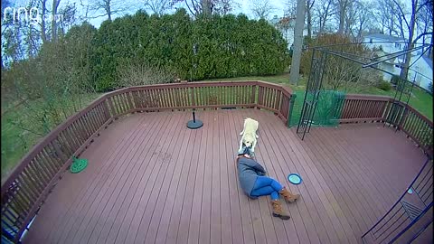 Dog Mistakes Furry Hood For a Toy And Drags Owner Around Backyard I RingTV