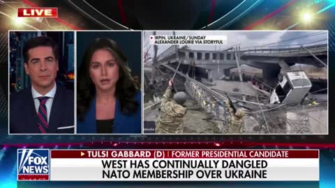 Tulsi Gabbard: "Our leaders really have this FU attitude, and they just don't care."