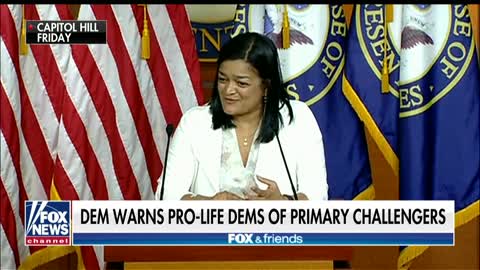 Democrats purging pro-life progressives putting party ‘in jeopardy,’ leader warns