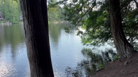 Ripples on quiet Beaver Lake