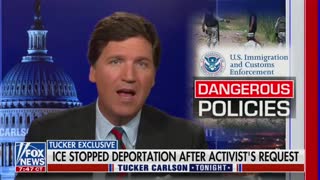 Far Left Activist Got ICE To Halt Deportation Of Illegal Immigrant With Criminal Record