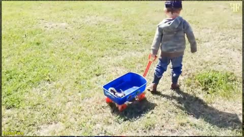 Qute baby and qute cats, naughty baby and naughty cats playing