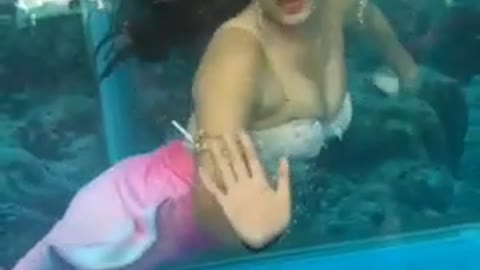 Real life mermaids caught in fish tank.