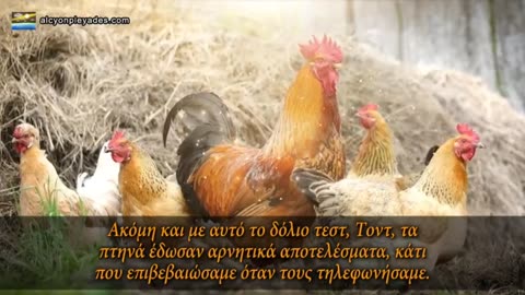 Σχεδιάζουν ασθένειες για τα ζώα για να δικαιολογήσουν τη σφαγή τους, ακόμη και αν είναι υγιή