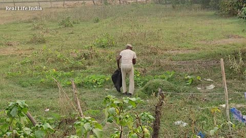Rural In Indian Village Life Style | Natural Life In #UttarPradesh Farmer | Real Life India