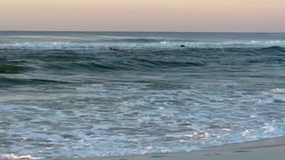 Huge waves with surfers