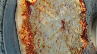 Cheese pizza fly by