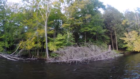 Salmon River Pulaski NY 2019