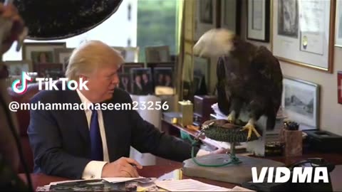 Trump versus an eagle