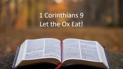 1 Corinthians 9 - Let the Ox Eat!