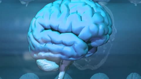 Mysteries Unveiled 10 Mind-Blowing Facts About the Human Brain