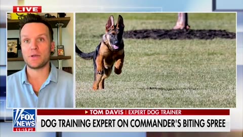 Dog Training Expert Says Biden Created 'Inhumane' Environment For Commander