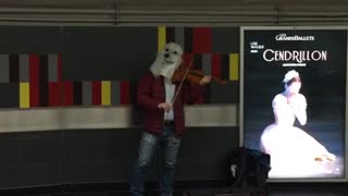 Woofgang man with dog mask plays violin