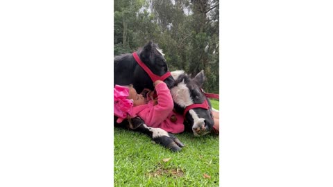 Cute baby singing to her cow friends