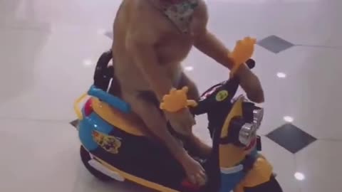 Mind-blowing Funny dog Video #shorts​