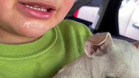 Boy Cries over Puppy's Vaccination