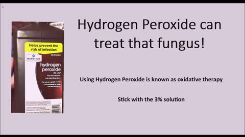 Hydrogen Peroxide Effective For Treating Toenail Fungus Use Hydrogen