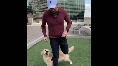 Trick training to build a bond with your dog 🐕🐕🐶🐶 i