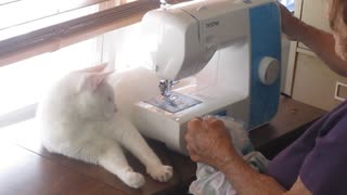 Emily Helps Grandma Sewing