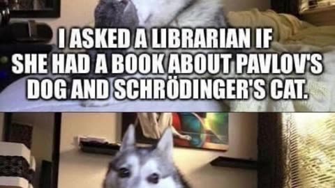 Pavlov's Dog and Schrödinger's Cat #shorts #memes #science #science humor