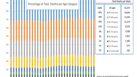 Johns Hopkins All Cause Mortality During COVID Pandemic.