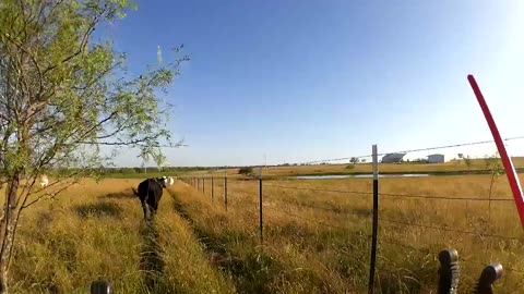 FloodedFence+music