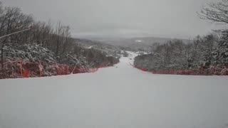 Gunstock