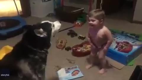 Dog & baby