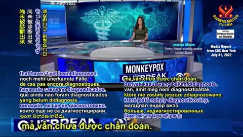 Phần 9/9: Thuần Chay và Hòa Bình Ban Cho Chúng Ta Thiên Đàng, Ăn Thịt Và Chiến Tranh Phá Hủy Tất Cả.