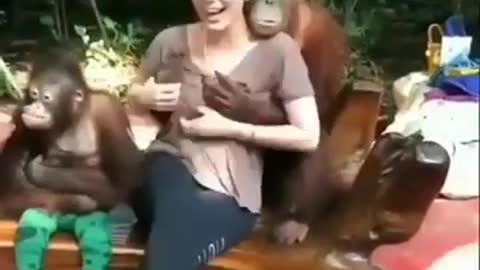 Monkey kissing this girl #short video