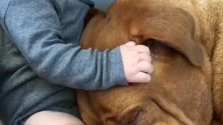 Baby and dog share incredible bond