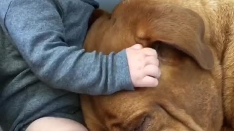 Baby and dog share incredible bond