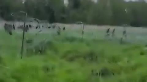 Polish soldiers and border guards fire warning shots to scare off a large group