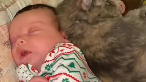 Cute cat trying to sleep with baby😂