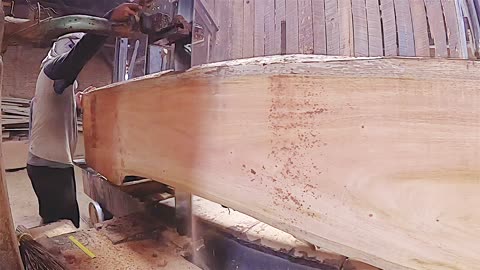 sawmill giant mahogany wood