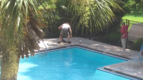 Gator in the Pool!