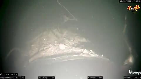 First footage of Nordstream pipelines after undersea attack