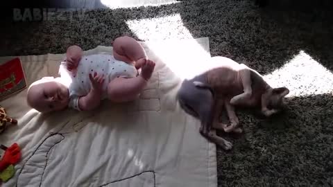 Funny babies compilation