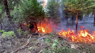 California's 'Park' wildfire doubles in size over the weekend