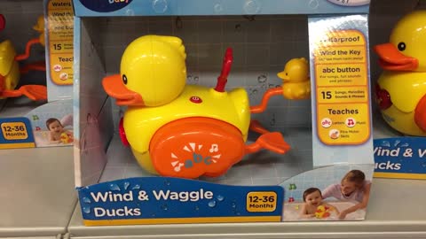 Wind and Waggle Duck Toy