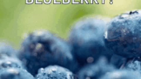 Blueberry? 90 Second Knowledge