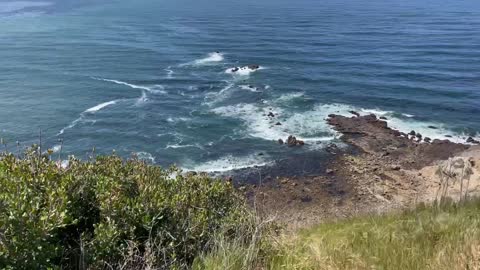 pacific from Rancho palos verdes bluff