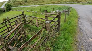 Belever forest. DARTMOOR. GoPro