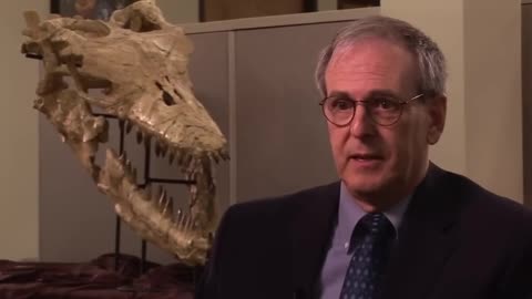 Dragons or Dinosaurs - Full Documentary