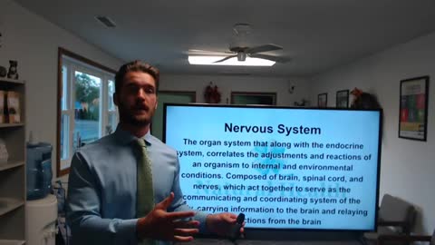 Nervous System