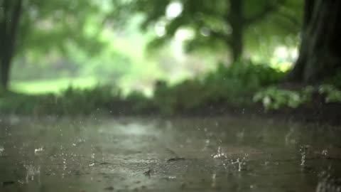 Early Morning Rain for Sleeping,Relaxing Video for Stress Relief,rain cinematic video,moy786