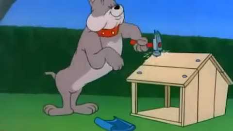 Tom & Jerry funny video