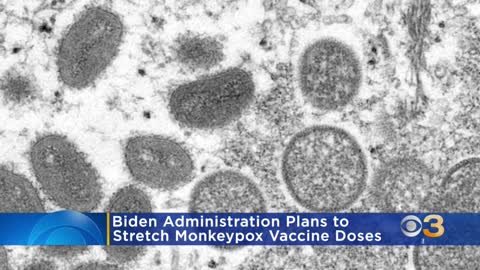 Biden administration plan to stretch monkeypox vaccine doses