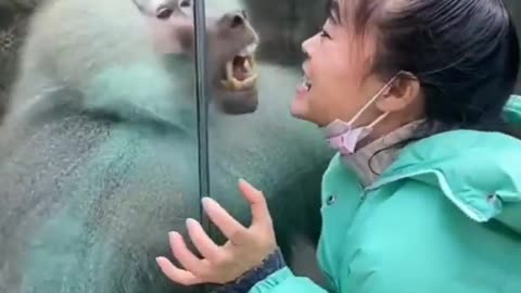 She gave a challange for monkey 🤣🤣